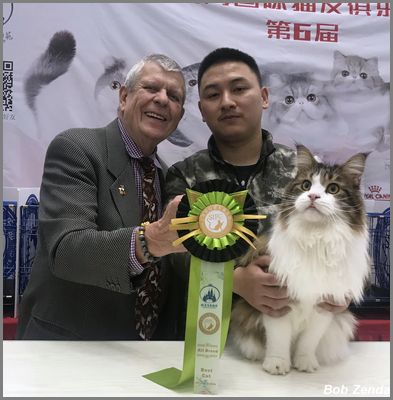 Fantrip's  Bao Yu